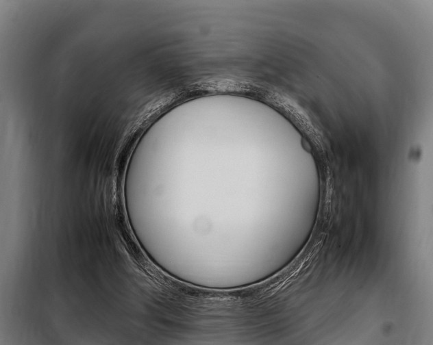 X0000098070202200804040735