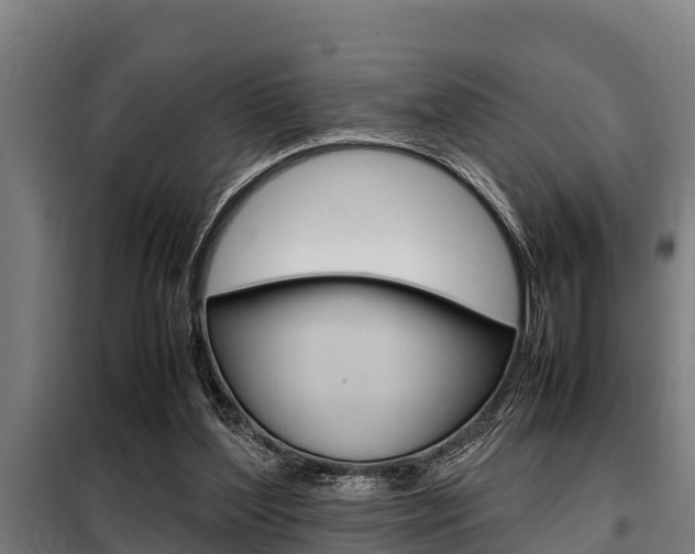 X0000098070204200804040735