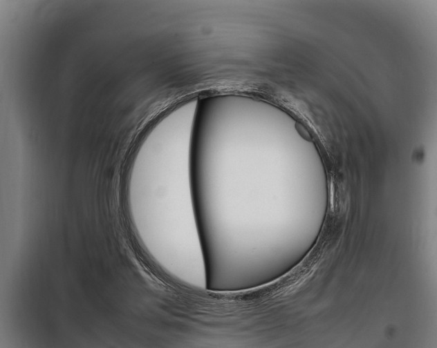 X0000098070205200804040735