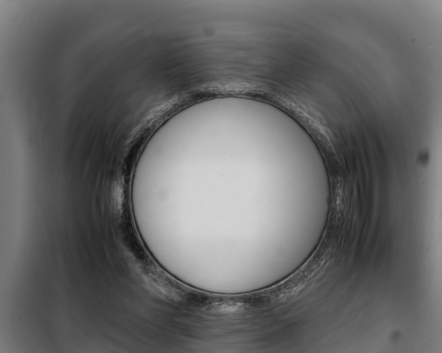 X0000098070206200804040735