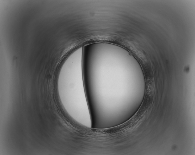X0000098070207200804040735