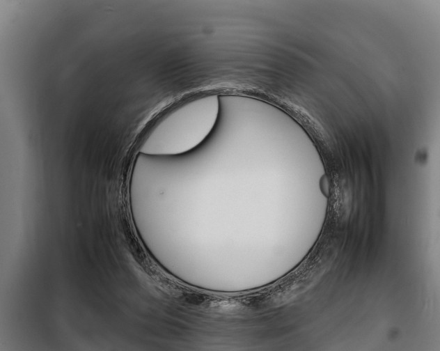 X0000098070208200804040735