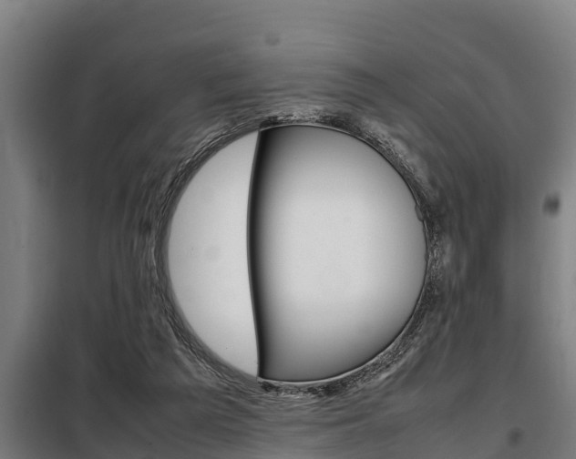 X0000098070209200804040735