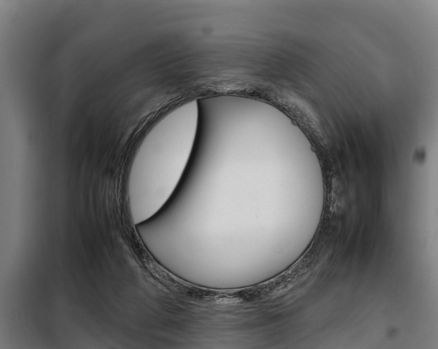X0000098070210200804040735