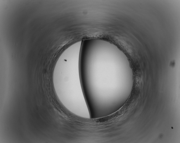 X0000098070211200804040735