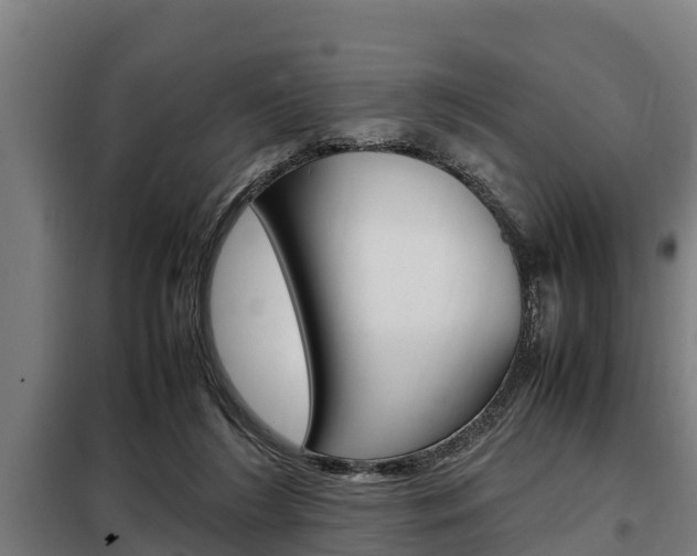 X0000098070212200804040735