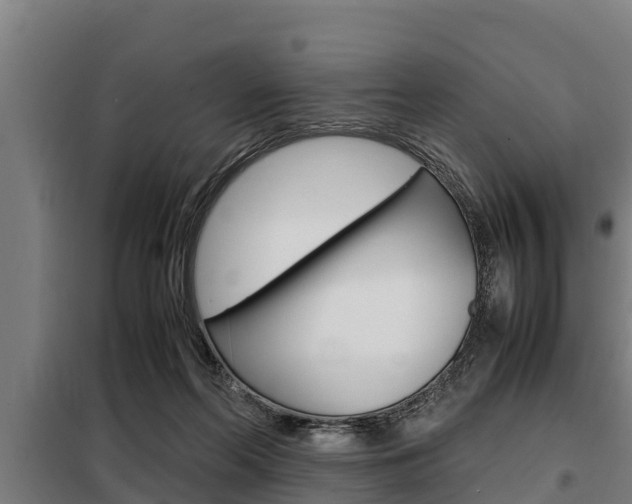 X0000098070214200804040735