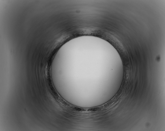 X0000098070216200804040735