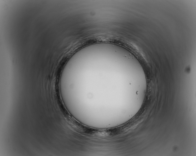 X0000098070217200804040735