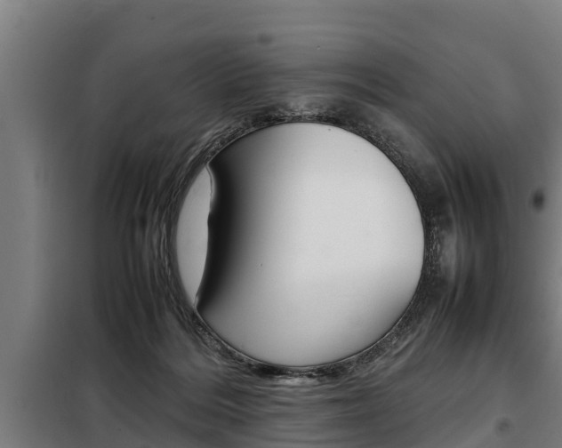 X0000098070220200804040735