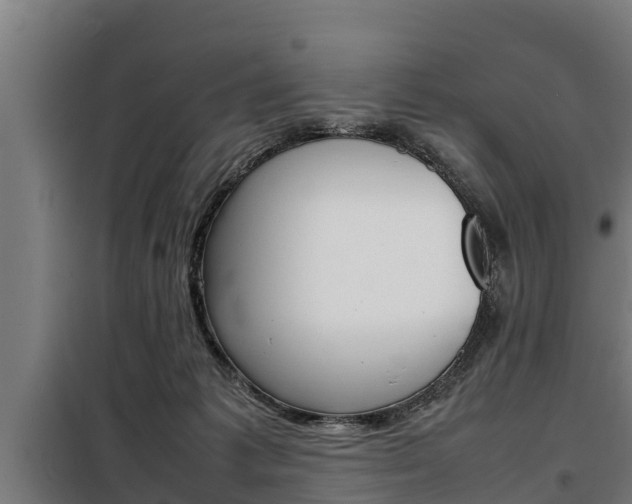 X0000098070221200804040735