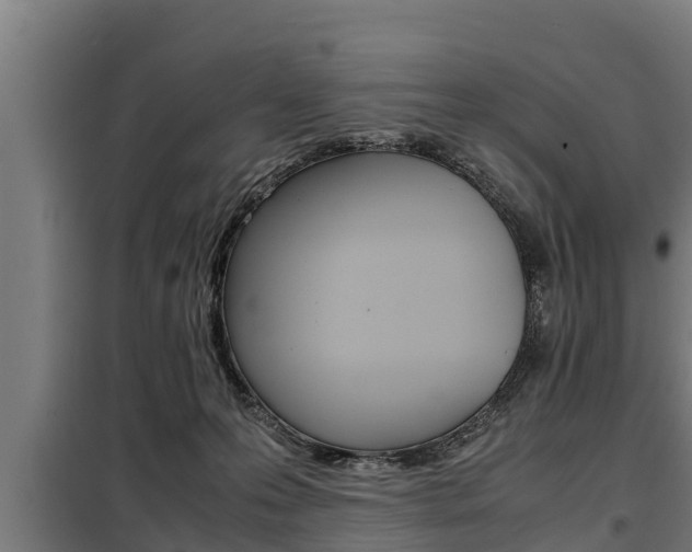X0000098070223200804040735