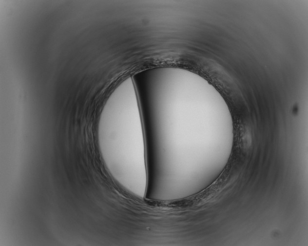 X0000098070224200804040735