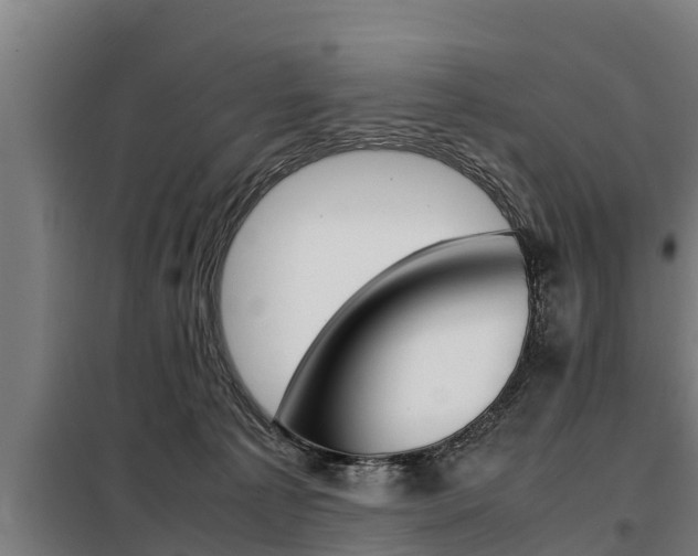 X0000098070225200804040735