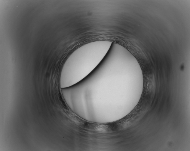 X0000098070226200804040735