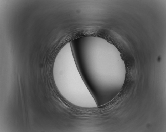 X0000098070227200804040735