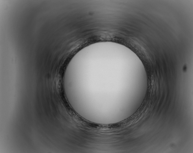 X0000098070228200804040735