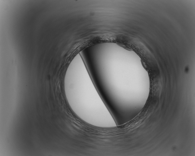 X0000098070229200804040735