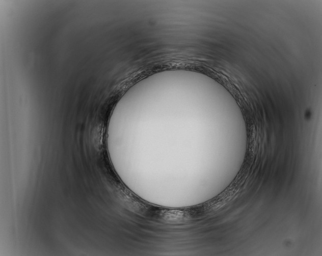 X0000098070230200804040735