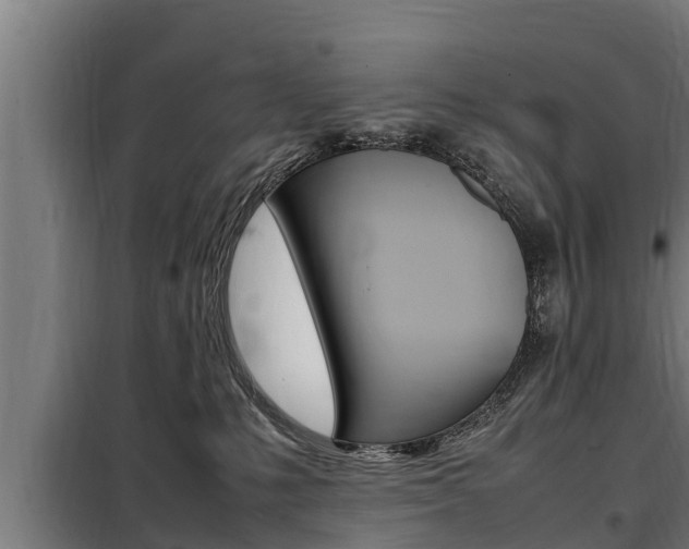 X0000098070231200804040735