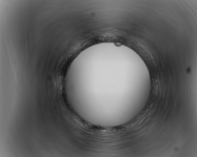 X0000098070232200804040735