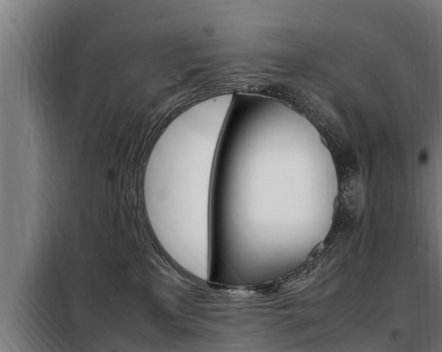X0000098070233200804040735