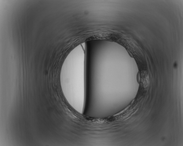 X0000098070235200804040735