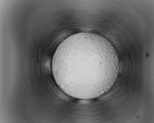 X0000098070238200804040735