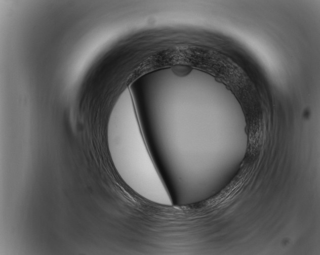 X0000098070239200804040735