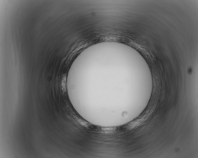 X0000098070240200804040735