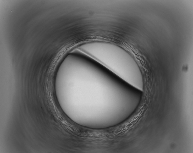 X0000098070241200804040734