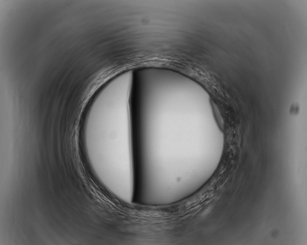 X0000098070242200804040734