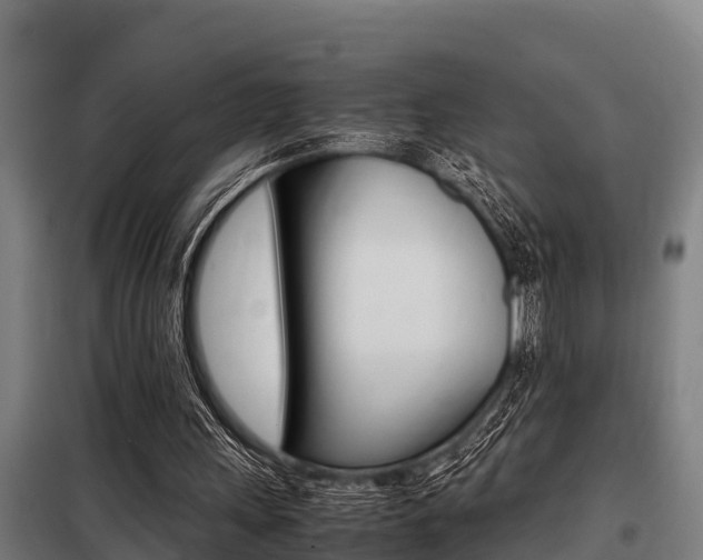 X0000098070243200804040734