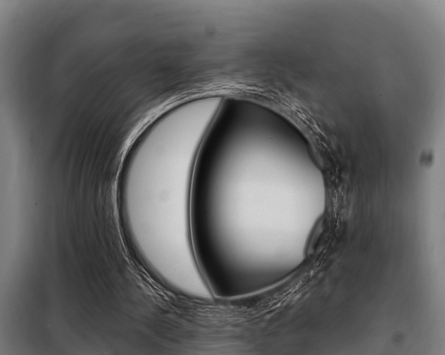 X0000098070244200804040734