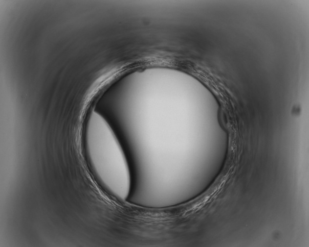 X0000098070245200804040734