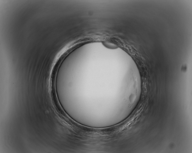 X0000098070246200804040734