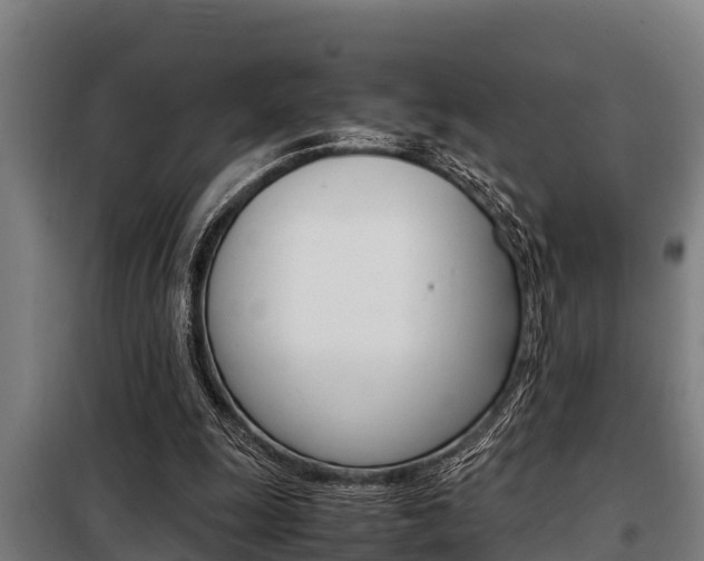 X0000098070247200804040734
