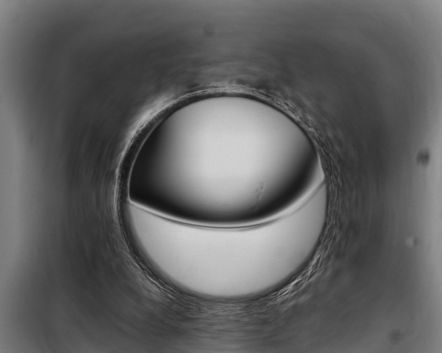 X0000098070248200804040734