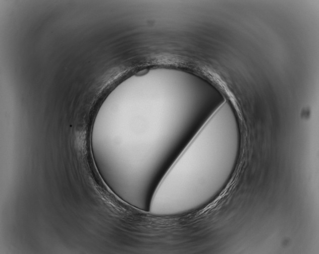 X0000098070249200804040734