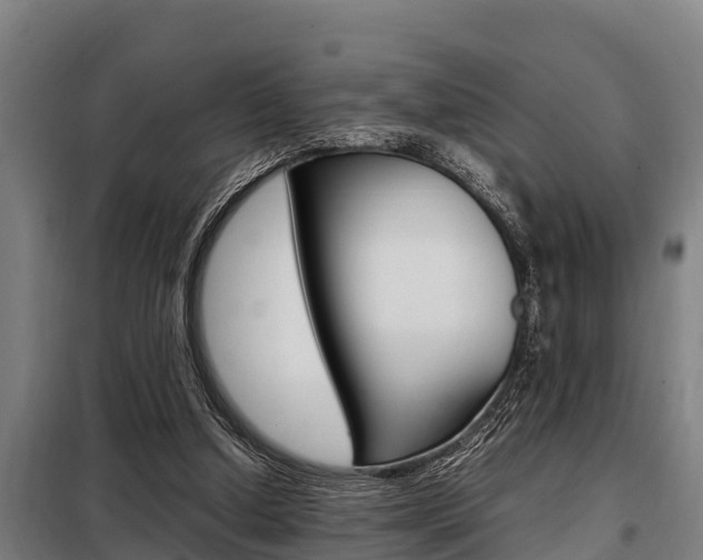 X0000098070250200804040734