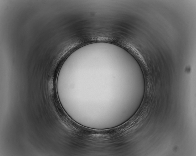 X0000098070251200804040734