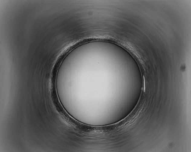 X0000098070252200804040734