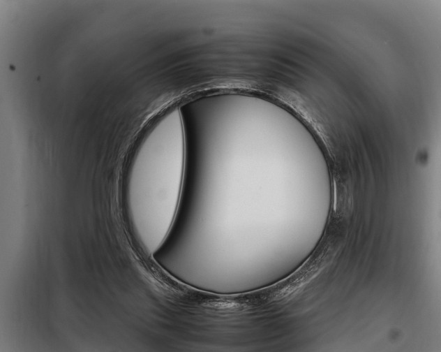 X0000098070253200804040734