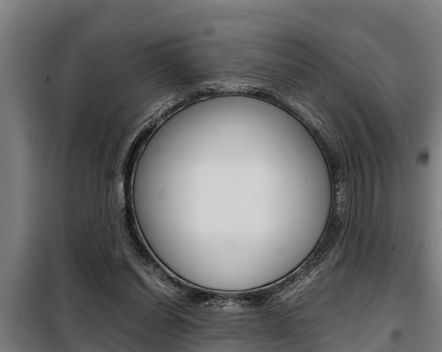X0000098070254200804040734