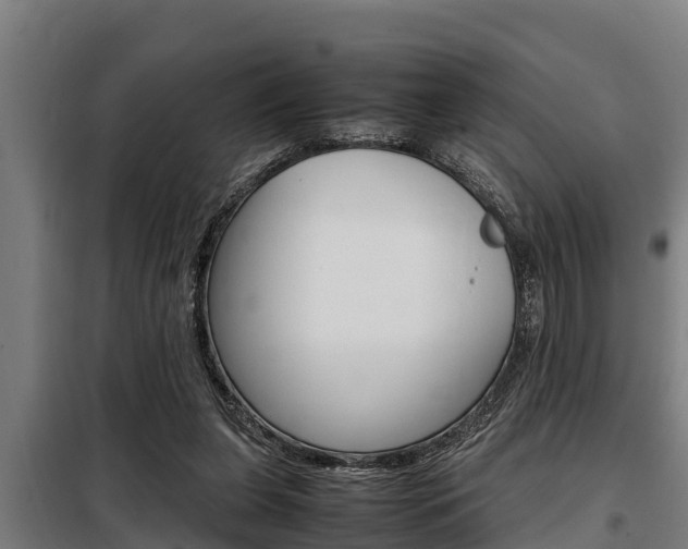 X0000098070255200804040734