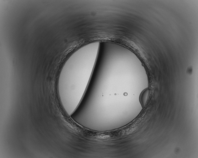 X0000098070257200804040734