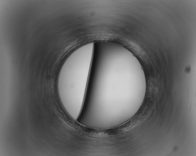 X0000098070258200804040734