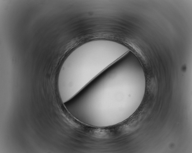 X0000098070261200804040734