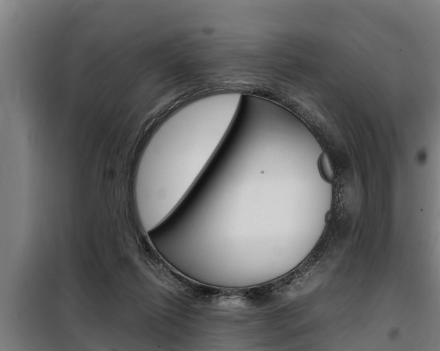 X0000098070262200804040734