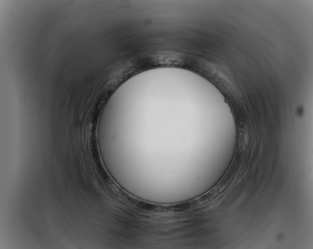 X0000098070263200804040734